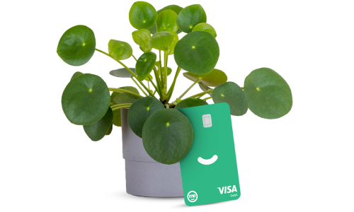 SpendME card plant