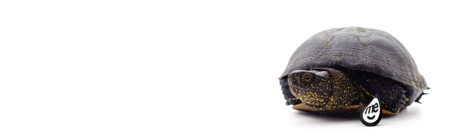 Background Image Alt Text